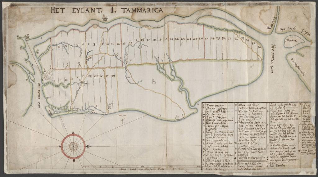 Kaart van het Eylant Tammarica